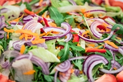 TSC3_2025_01_nap_193_Majer_Csaba_Jozsef